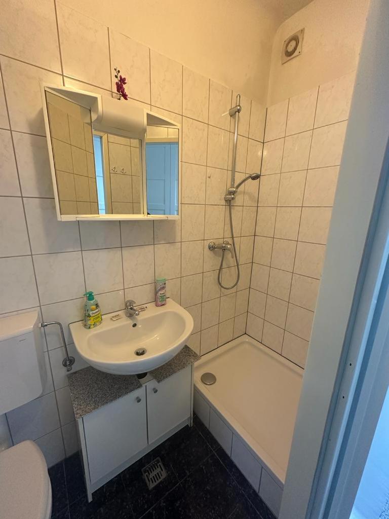One-bedroom Flat Near Prater And Messe Prater Appartement Wenen